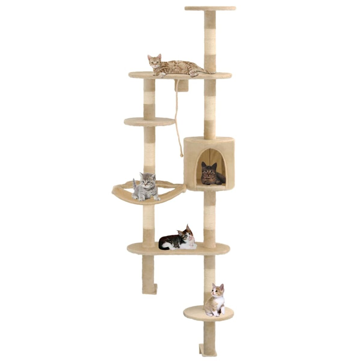 Ein hoher Katzenbaum mit mehreren Ebenen und Katzen. Katzen sind auf verschiedenen Ebenen und in einer Höhle.