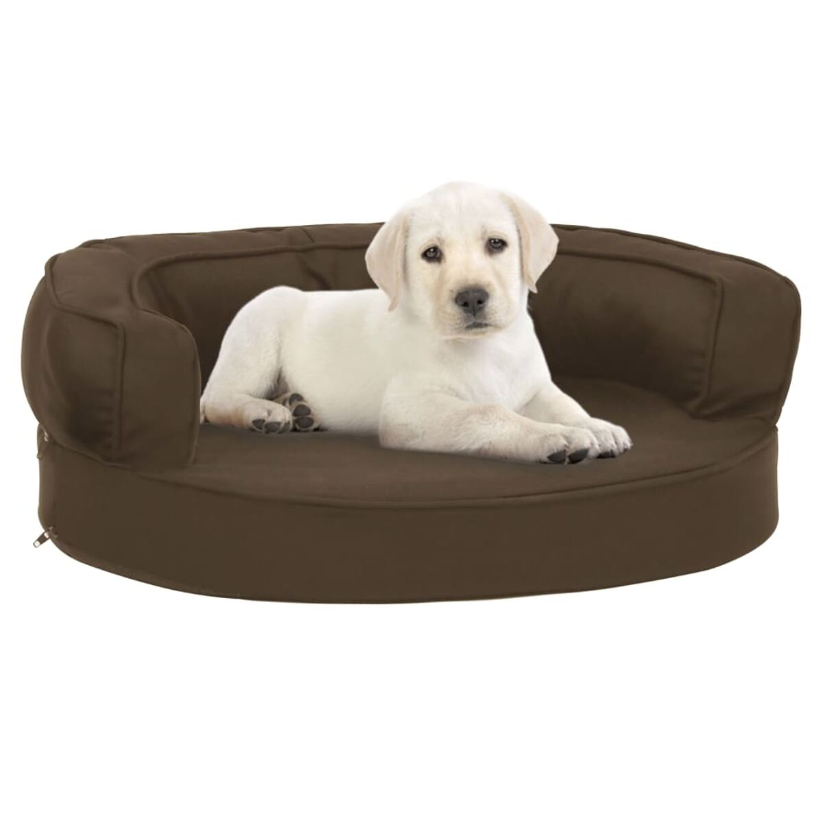 Ein hellbrauner Welpe liegt auf einem braunen Hundebett.