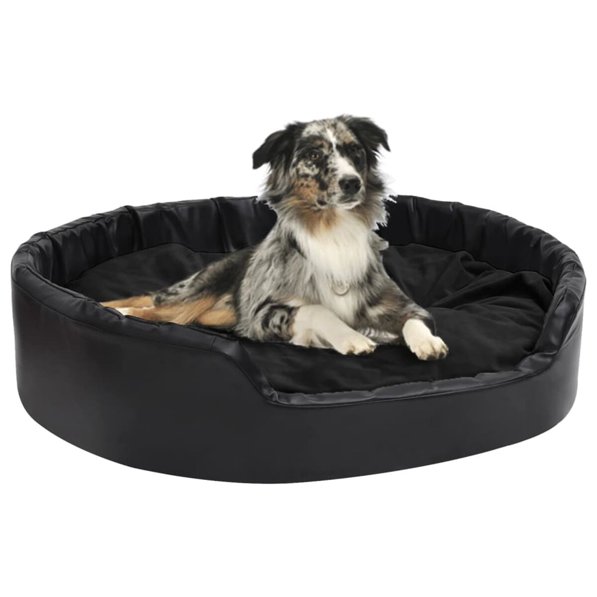 Hund in einem schwarzen Hundebett. Der Hund liegt und schaut in die Kamera.