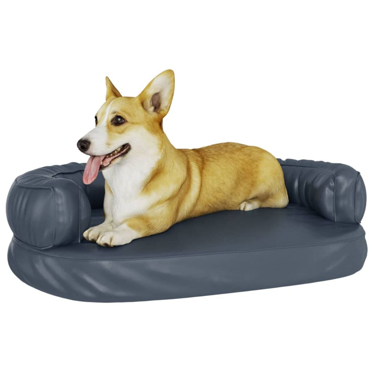 Ein Corgi-Hund auf einem blauen Hundesofa mit herausgestreckter Zunge.