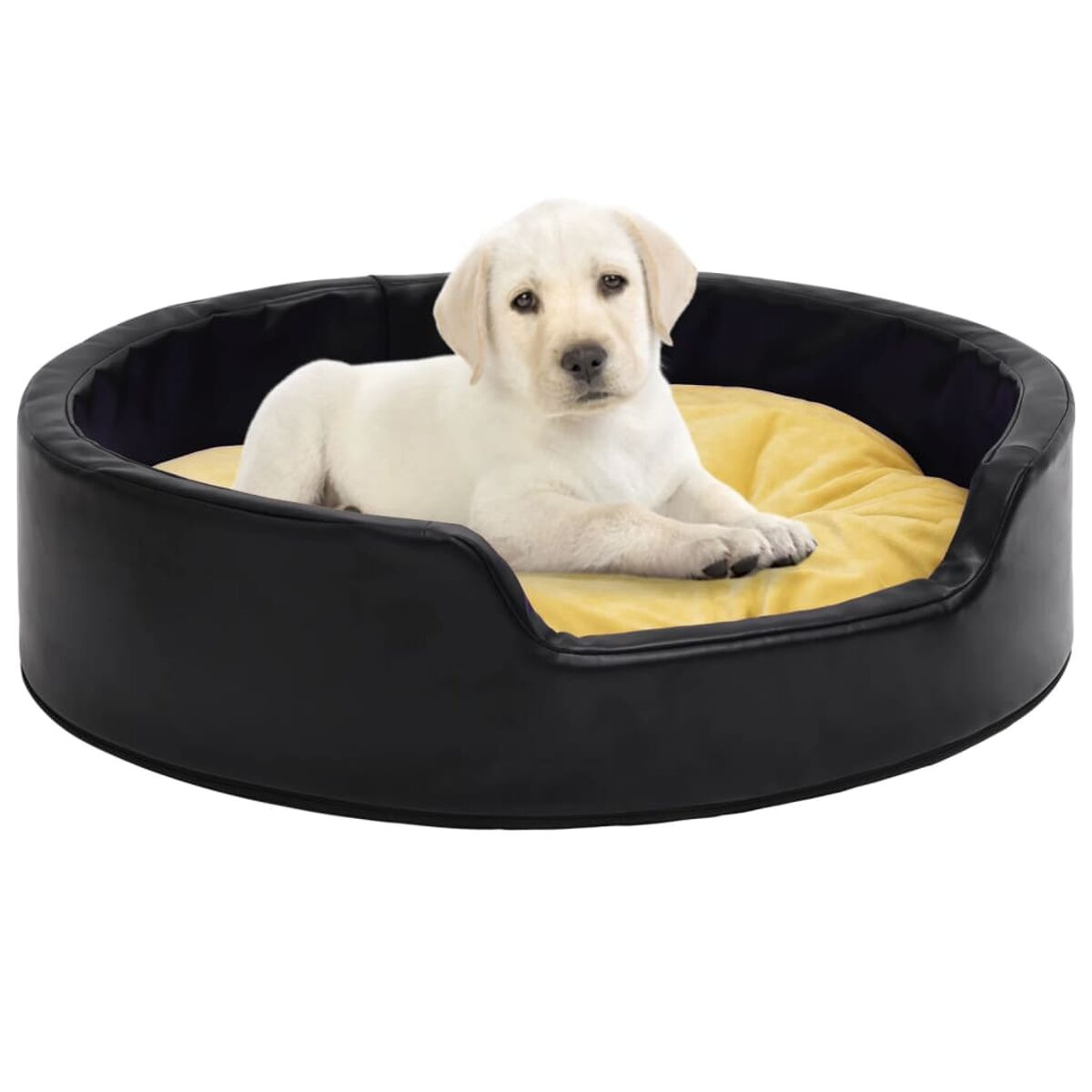Welpe in einem schwarz-gelben Hundebett. Weißer Welpe, schwarzes Bett, gelbes Kissen. Weißer Hintergrund.