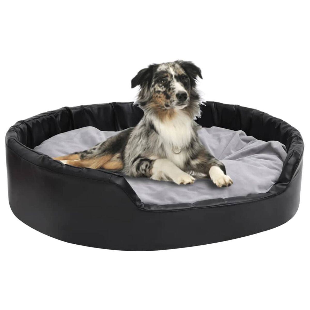 Hund liegt in einem schwarzen Hundebett mit einem grauen Kissen. Der Hund ist bunt.