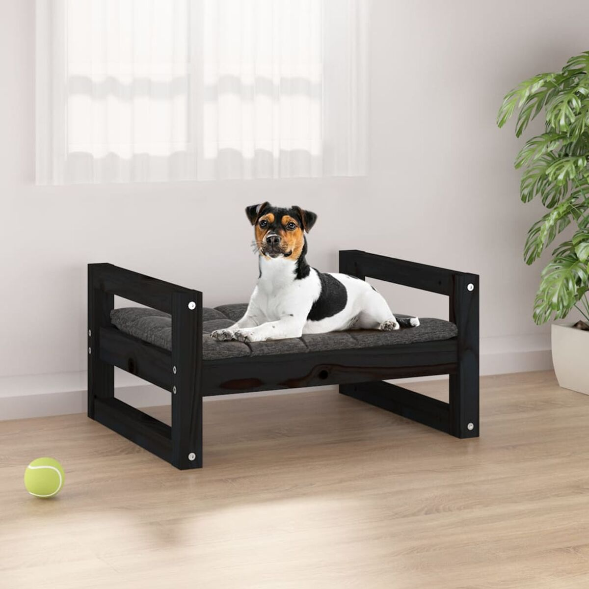 Hund auf einem schwarzen Hundebett mit grauem Kissen. Ein grüner Ball und ein Fenster sind im Hintergrund.