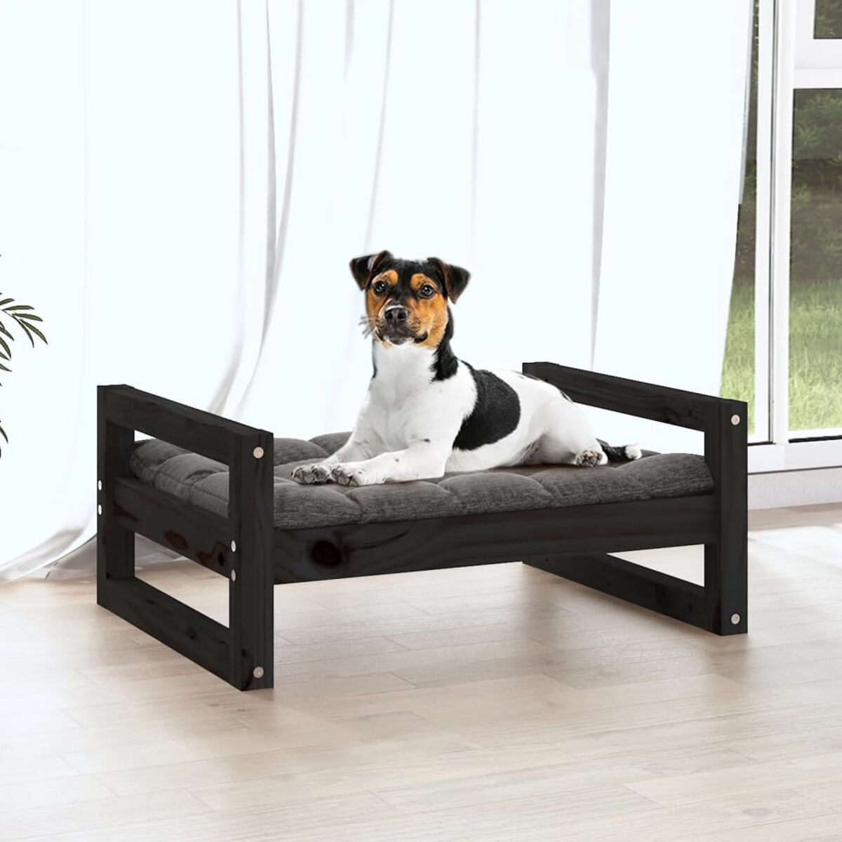 Ein Hundebett mit einem Hund darauf. Der Hund ist dreifarbig. Der Hintergrund ist ein Raum.