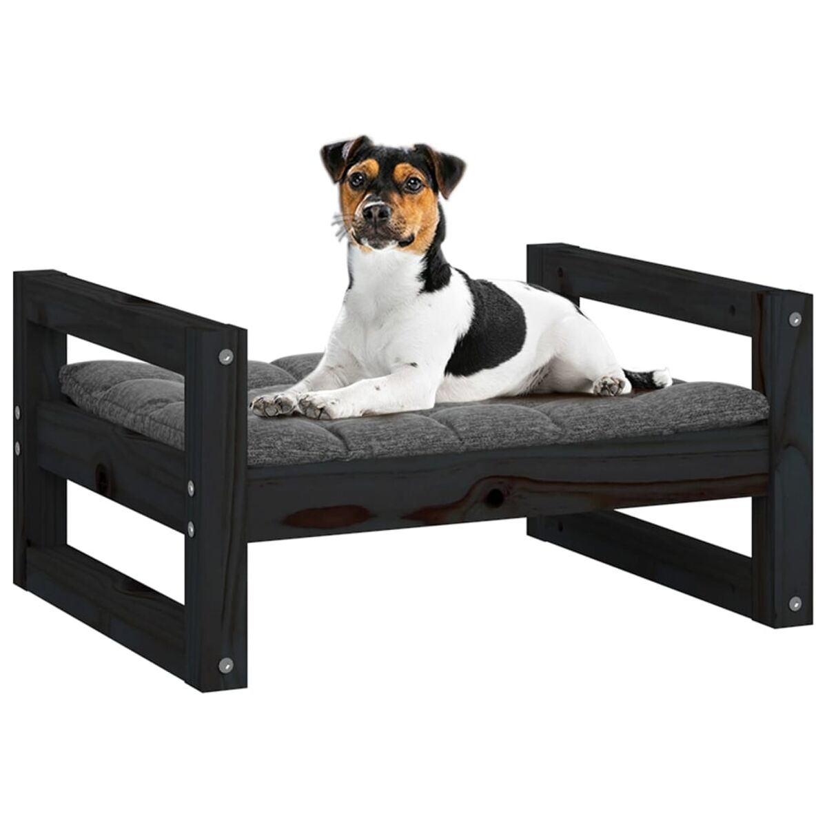 Schwarzes Hundebett mit einem Hund darauf. Schwarzer Rahmen, graues Kissen. Weißer Hintergrund.