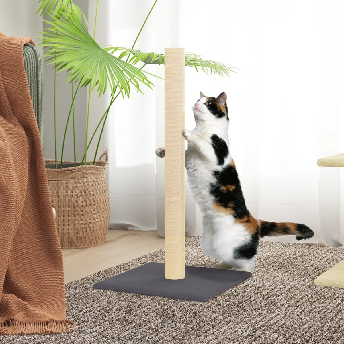Schildpattkatze, die ihre Krallen an einem hohen Kratzbaum wetzt, mit Pflanze und Teppich im Hintergrund.