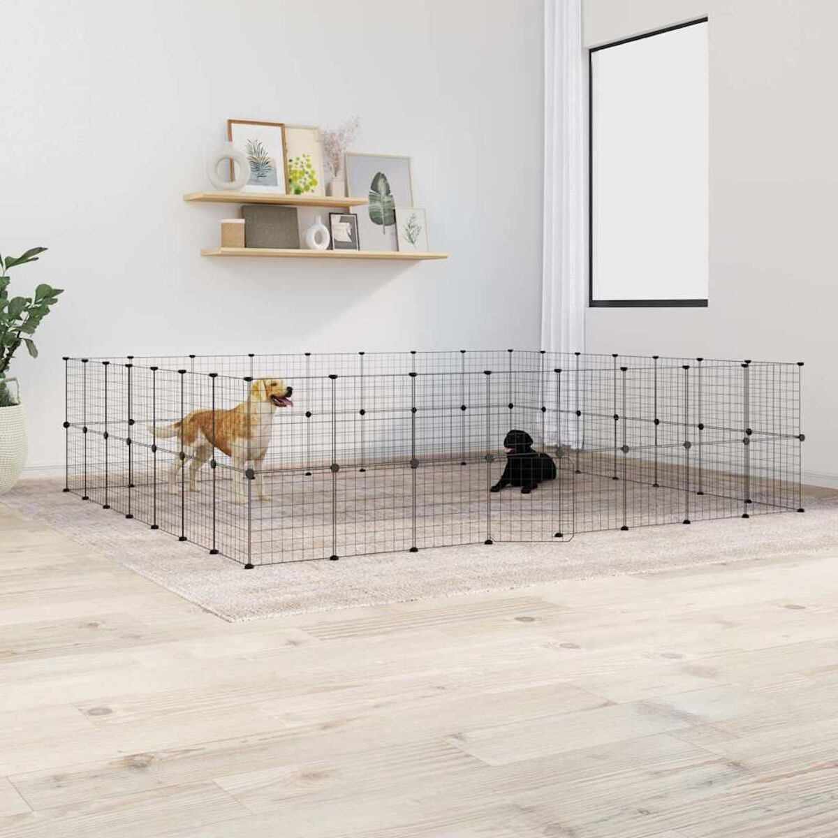 Zwei Hunde in einem Hundeauslauf aus Drahtgeflecht auf einem Teppich, in einem Raum.