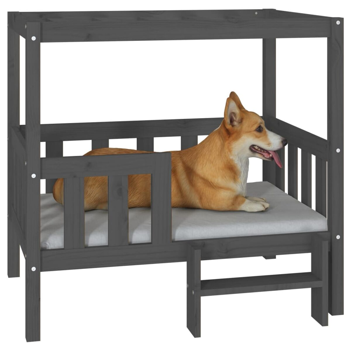 Hund liegt in einem grauen Holzbett mit kleiner Stufe, im Raum.