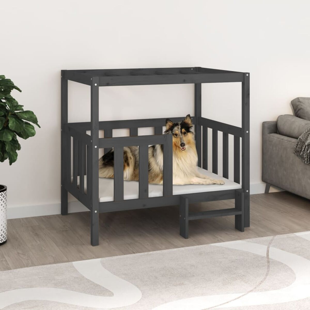 Dunkelgraues Hundebett mit kleiner Treppe. Ein Hund ruht darin. An Wand mit Teppich.