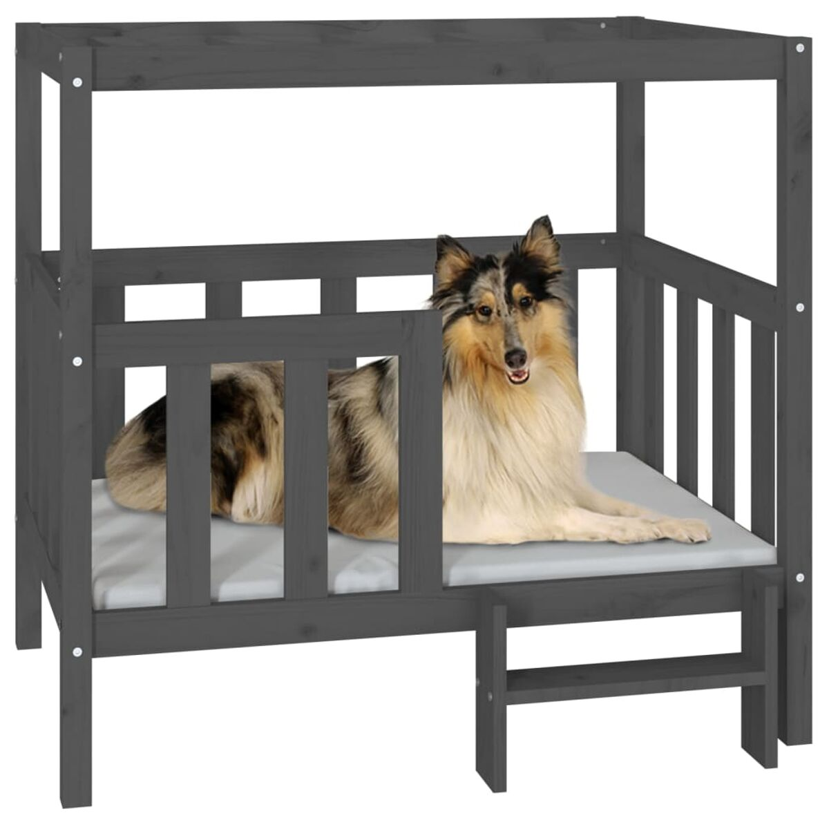 Ein Hundebett mit einem Hund darin. Das Bett ist grau, und der Hund ist ein Collie, der sich ausruht.