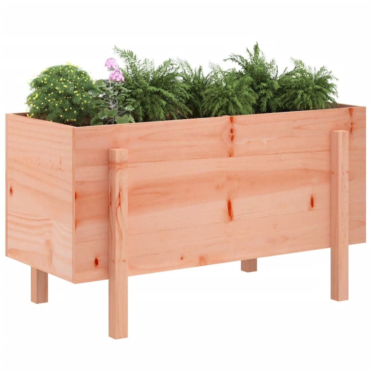 Holz-Pflanzkasten gefüllt mit verschiedenen grünen und rosa blühenden Pflanzen.