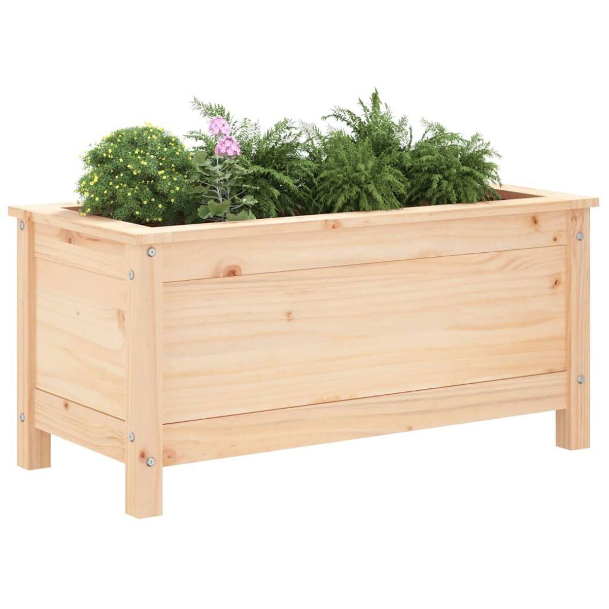 Holzkasten mit Pflanzen gefüllt. Verschiedene grüne und rosa Pflanzen.