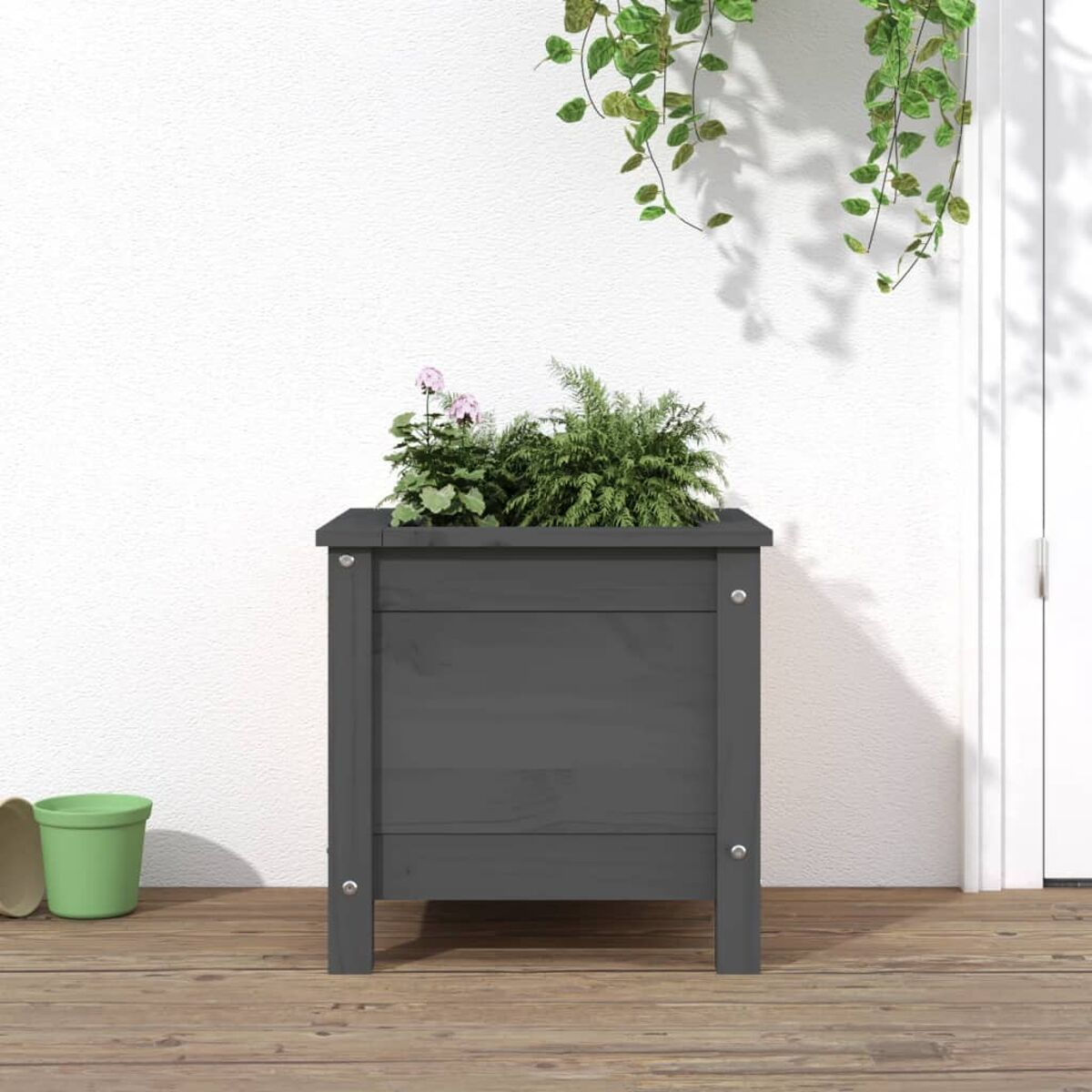 Graue Holzkasten mit Pflanzen. Grüne Pflanzen und Blumen. Weißer Wandhintergrund.