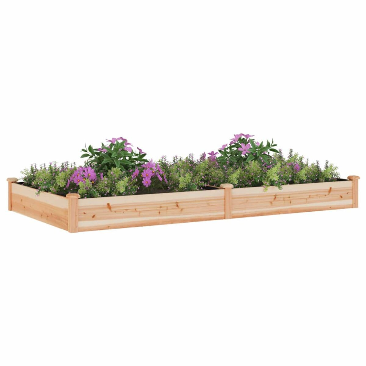 Rechteckiges, erhöhtes Hochbeet aus Holz mit Pflanzen und Blumen. Weißer Hintergrund.