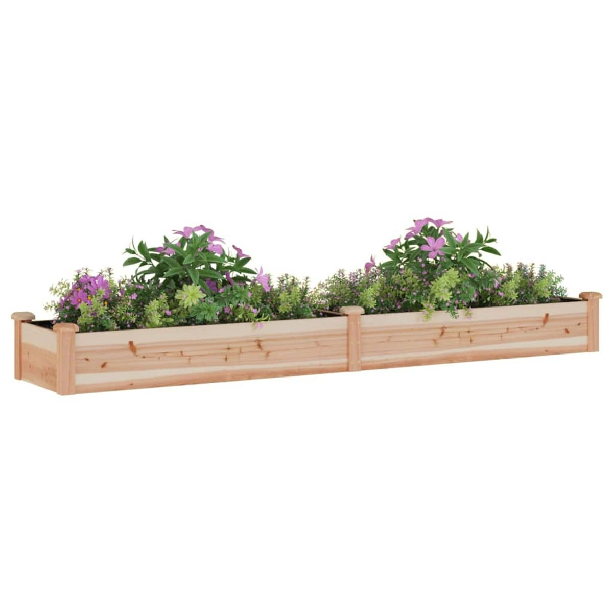 Zwei hölzerne Pflanzkästen mit lila und rosa Blumen. Weißer Hintergrund.