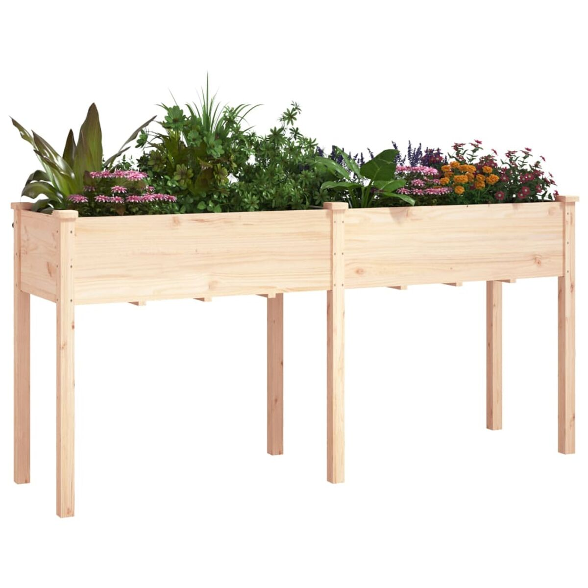 Erhöhtes Gartenbeet aus Holz mit Pflanzen und Blumen. Hellbraune Farbe. Weißer Hintergrund.