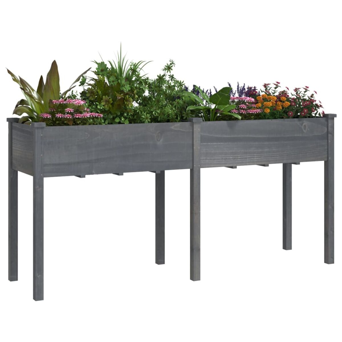 Erhöhter Gartenbeet aus Holz, gefüllt mit verschiedenen Pflanzen und Blumen, auf weißem Hintergrund.