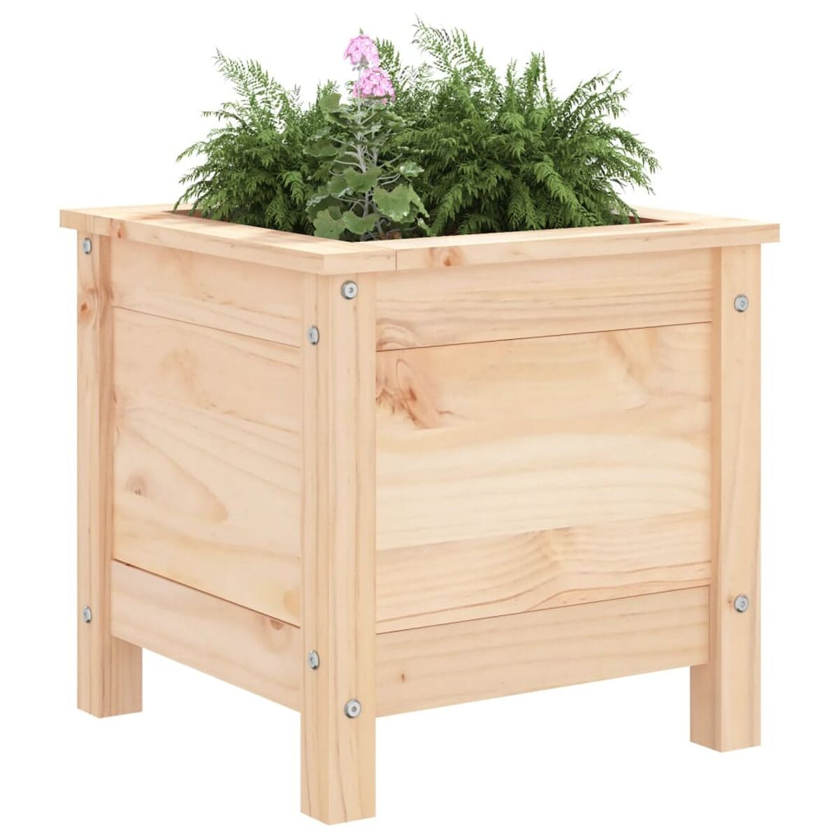 Holzpflanzer mit Pflanzen und Blumen. Weißer Hintergrund.