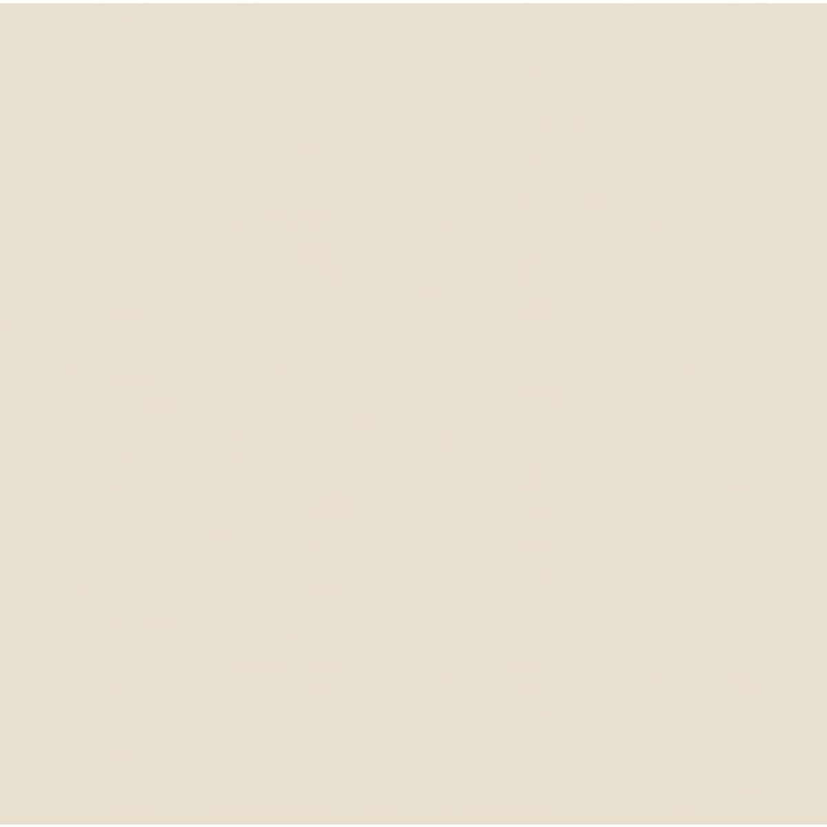 Ein einfacher, beigefarbener Hintergrund. Die Farbe ist ein heller, neutraler Ton, geeignet für verschiedene Designanwendungen.