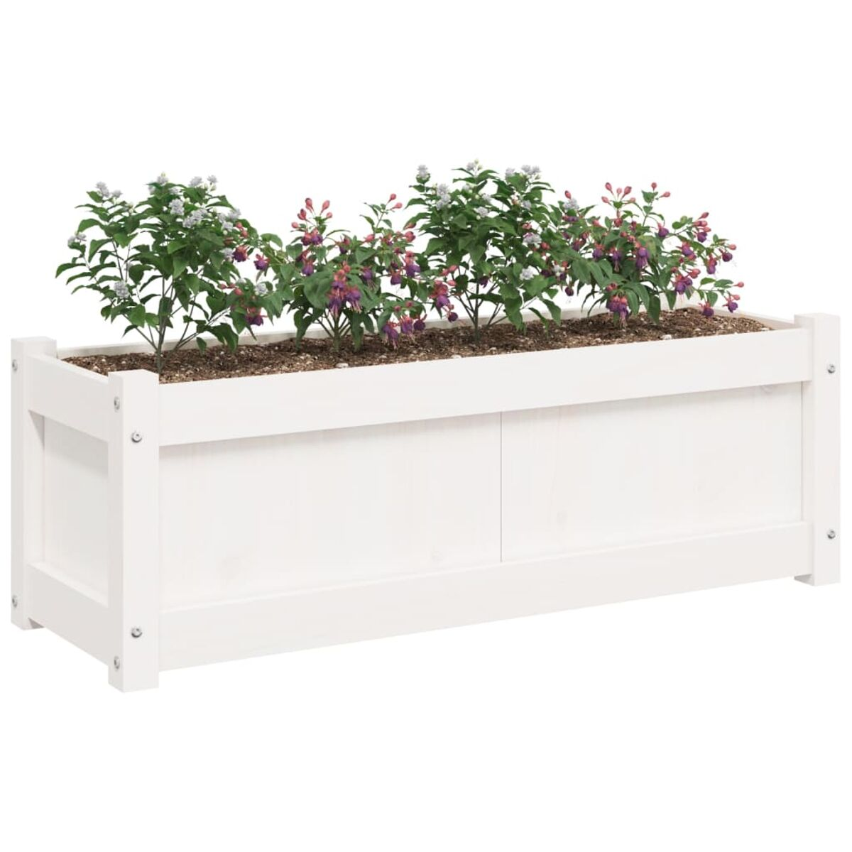 Eine weiße Pflanzkasten mit bunten Blumen. Er ist mit Erde und Pflanzen gefüllt.