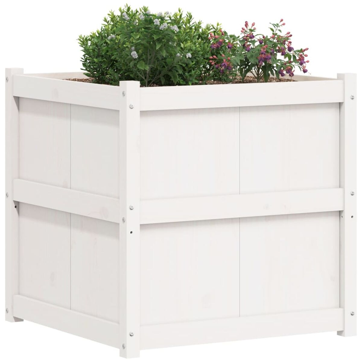 Weißer Holzpflanzkasten mit grünen und lila Blumen.
