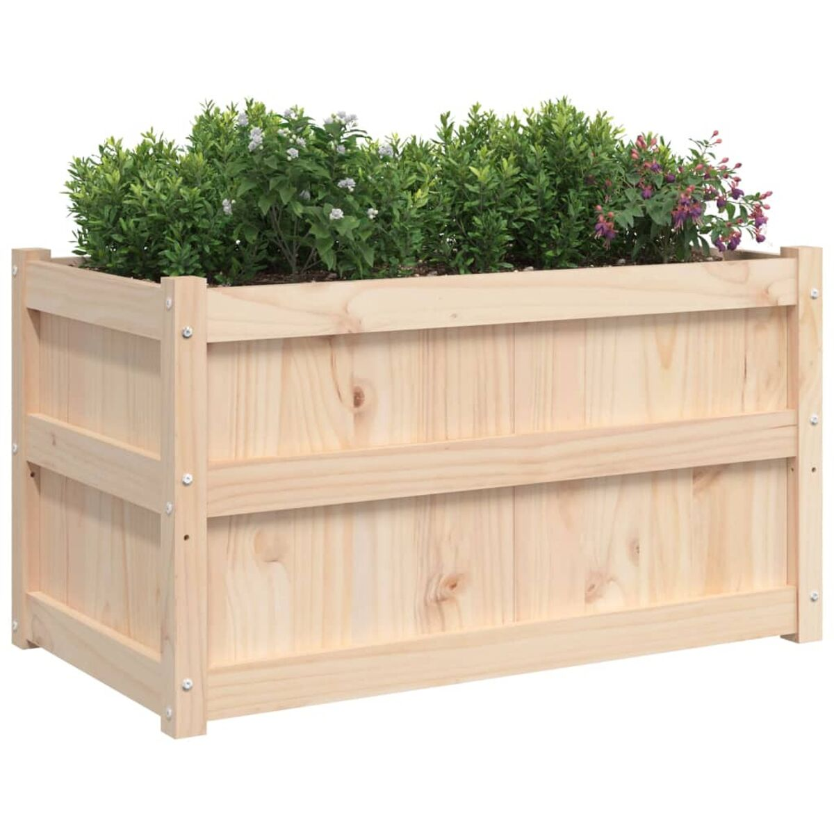 Holzkasten mit grünen und lila Blumen.