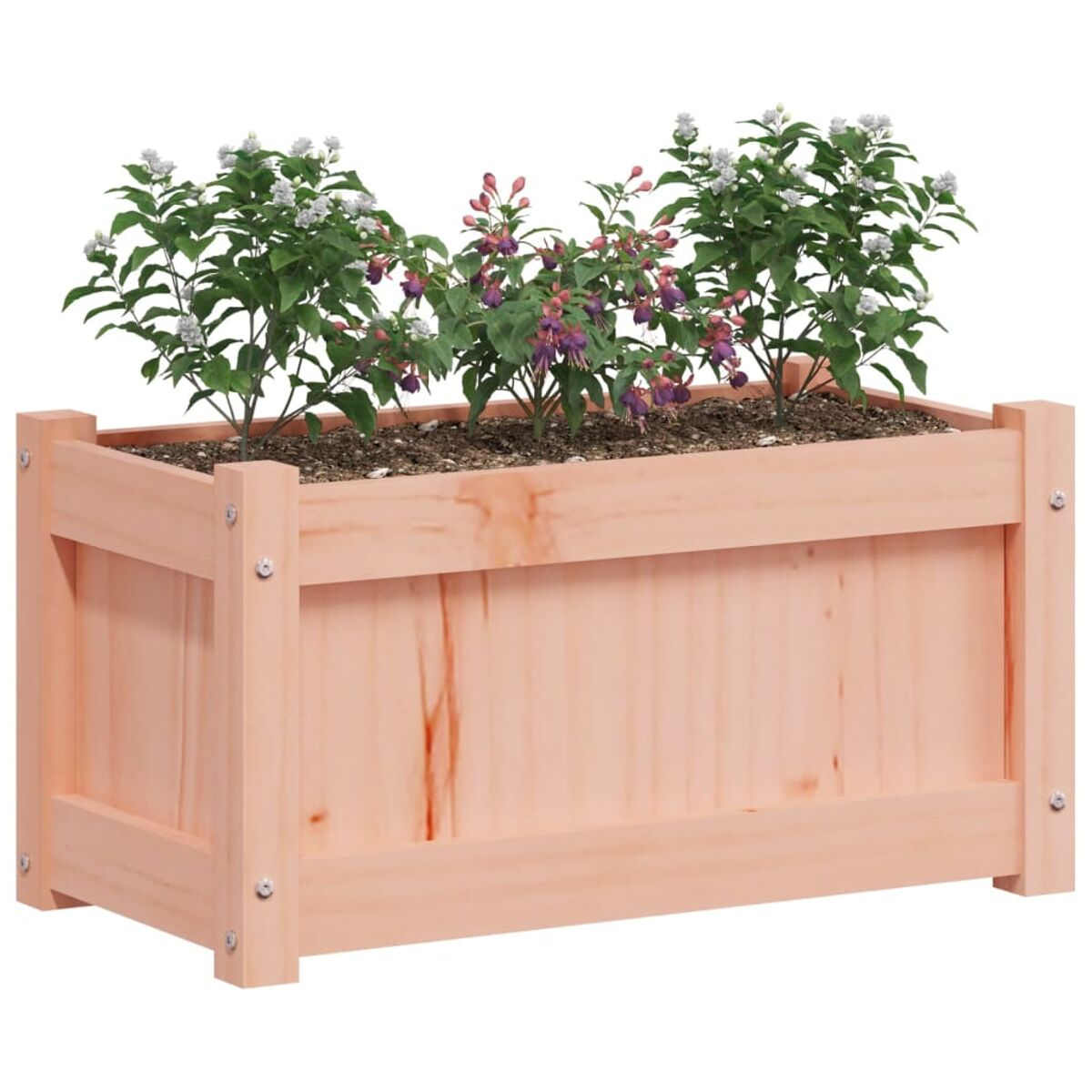 Hellrosa Holzpflanzkasten mit blühenden Pflanzen, auf weißem Hintergrund.