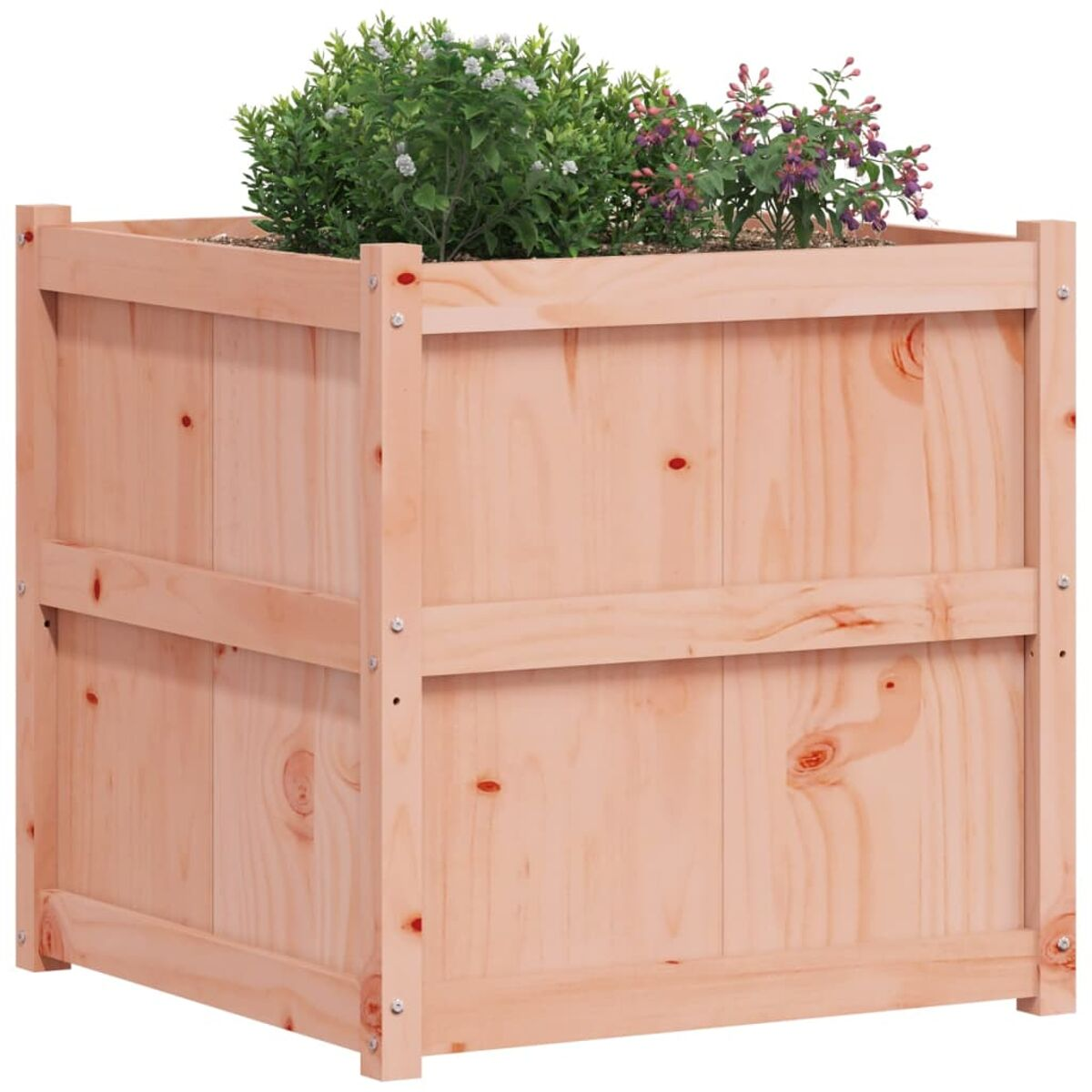 Holzpflanzkasten gefüllt mit Pflanzen mit grünen und lila Blättern.