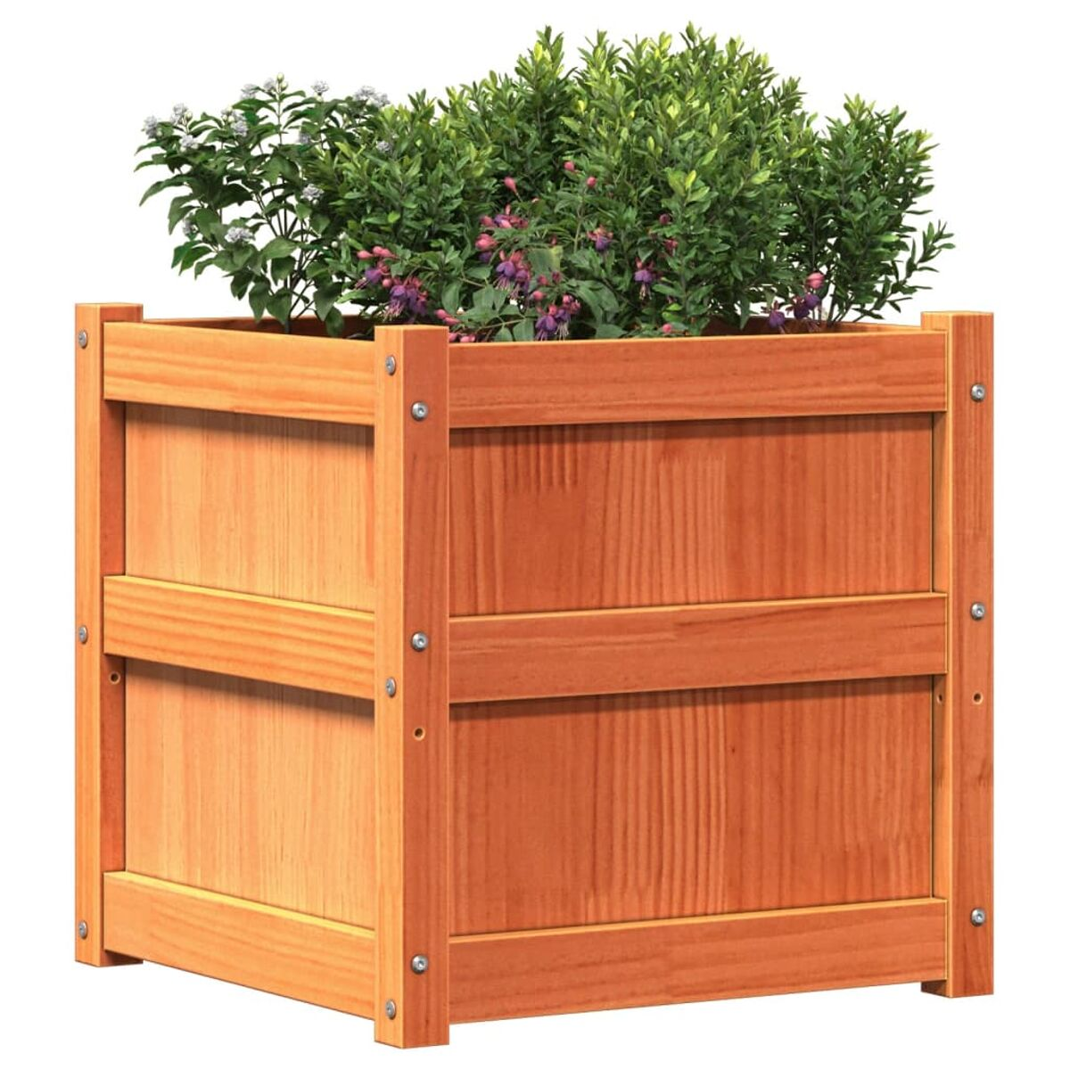 Quadratischer Pflanzkasten aus Holz. Er enthält grüne und lila blühende Pflanzen. Die Box ist orange-braun.