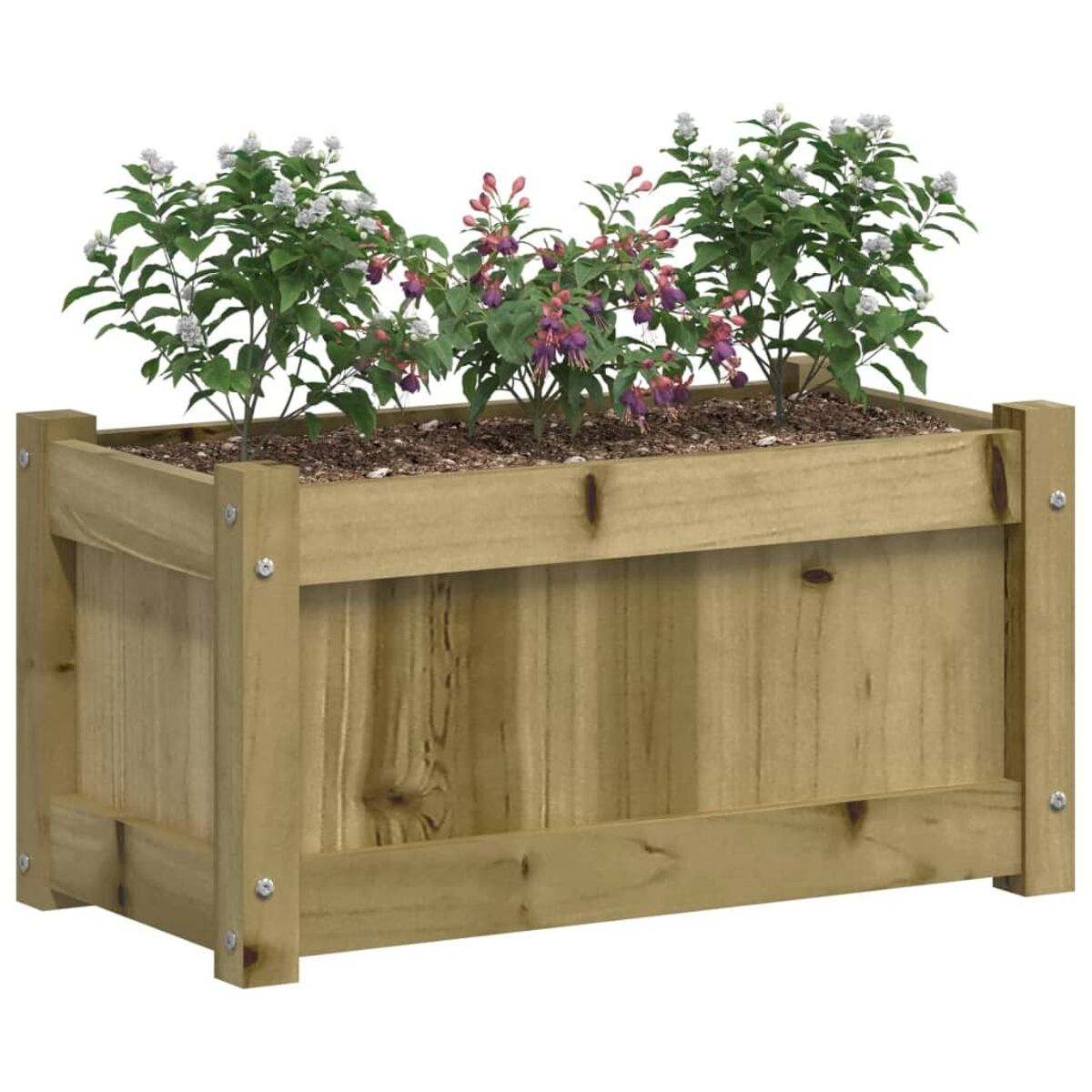 Holz-Pflanzkasten mit Pflanzen und Blumen, auf weißem Hintergrund, mit sichtbaren Abmessungen.