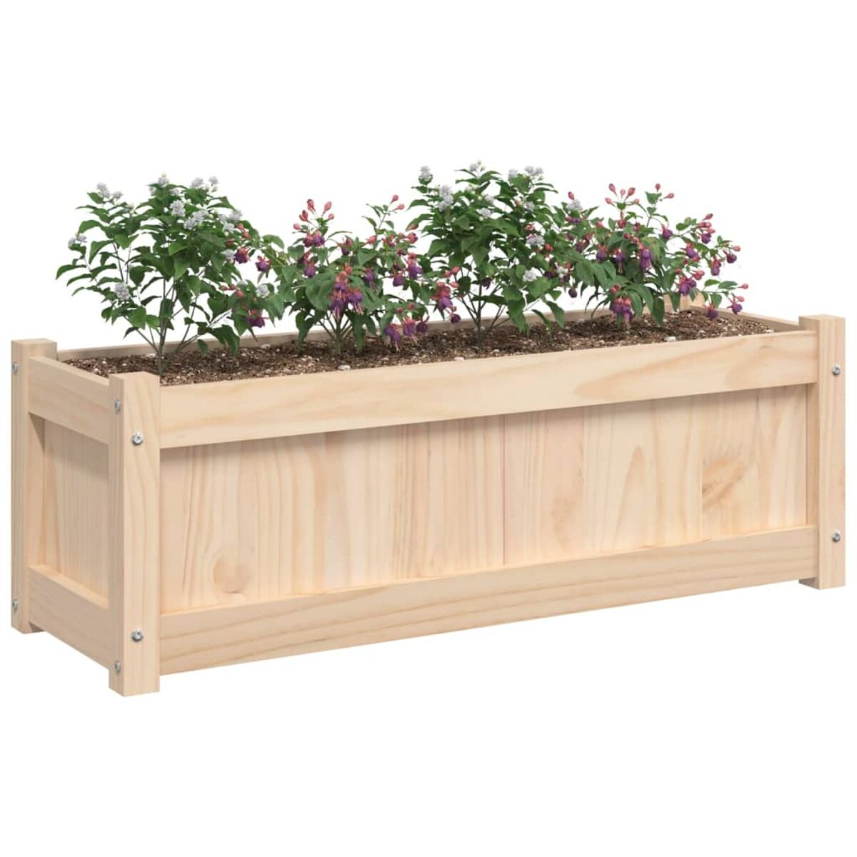 Rechteckiger Holzpflanzer mit Erde und blühenden Blumen, auf weißem Hintergrund.