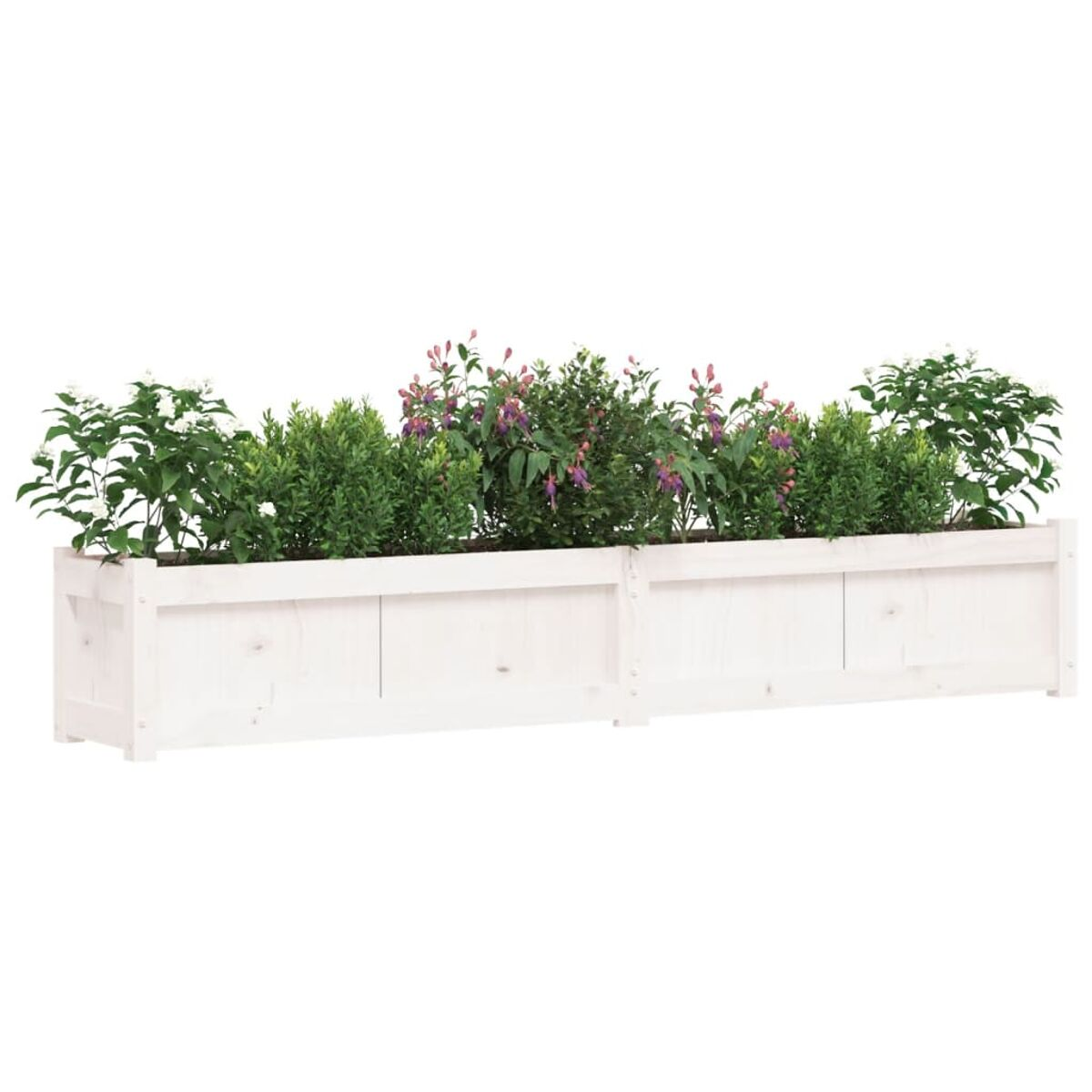 Zwei weiße Holzpflanzkästen mit grünen Pflanzen und Blumen.
