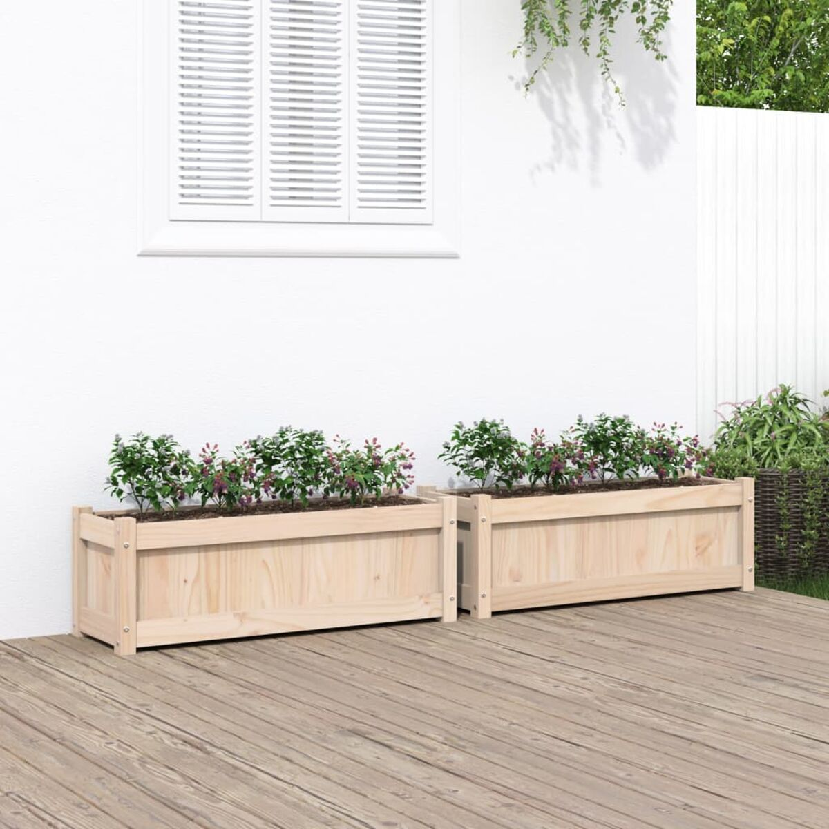 Zwei hölzerne Pflanzkästen mit Pflanzen auf einer Terrasse. Weiße Wand und Fenster im Hintergrund.