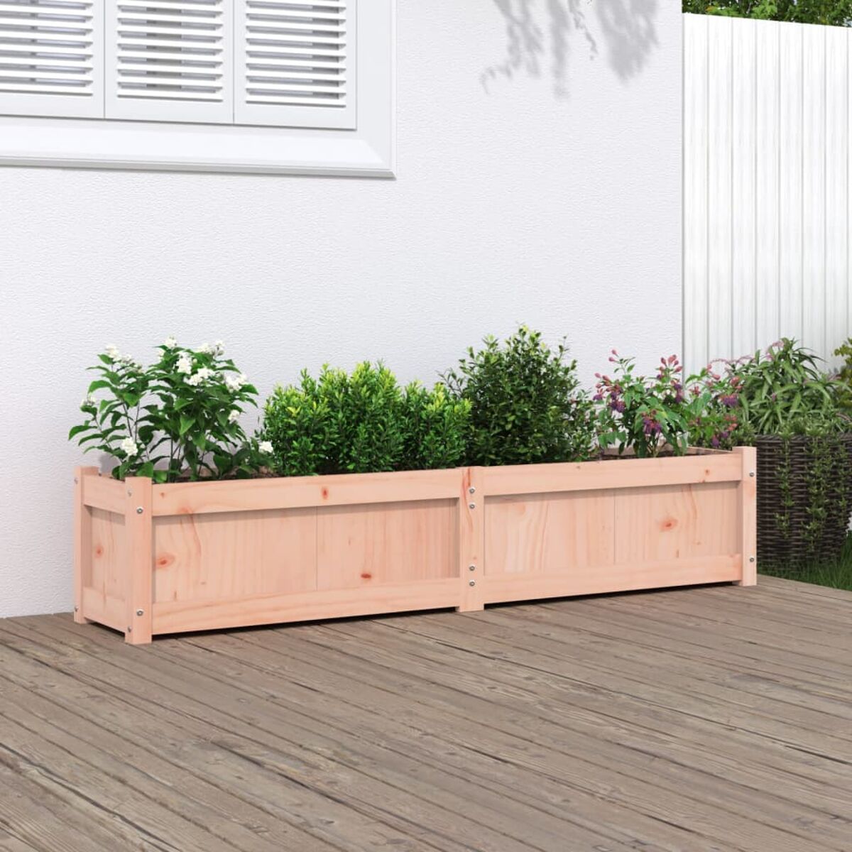 Zwei hölzerne Pflanzkästen mit Pflanzen. Pflanzen in Kästen, Holzterrasse, weißer Wandhintergrund.