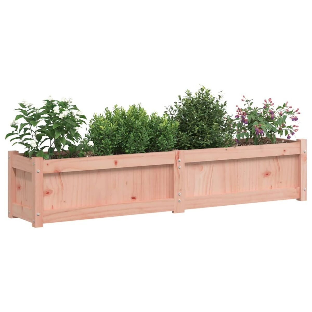 Ein langer Holzpflanzer, gefüllt mit verschiedenen grünen Pflanzen und blühenden Blumen vor Weiß.
