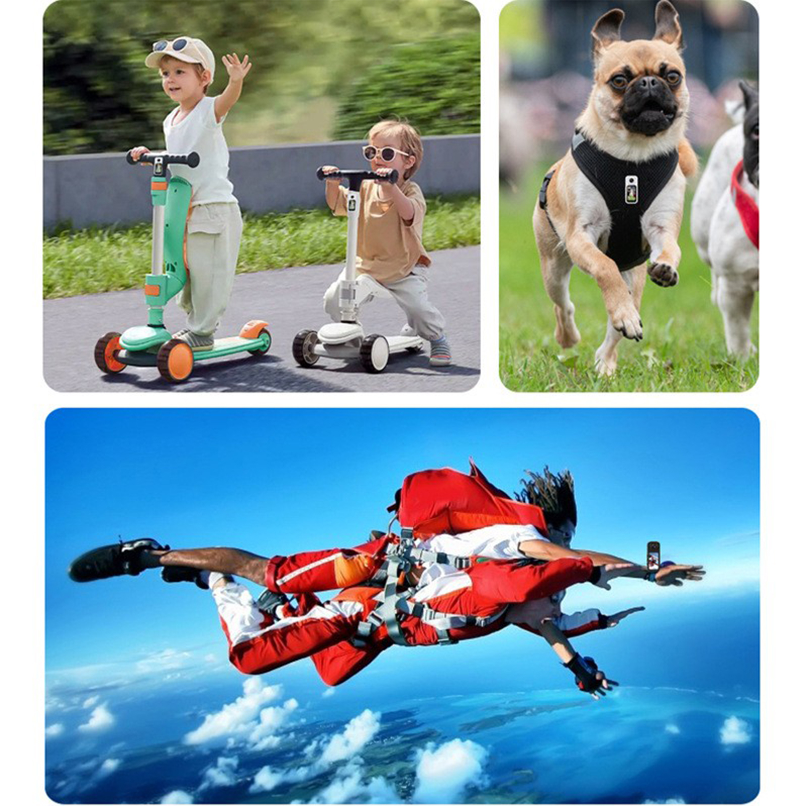 Collage: Kinder auf Rollern, ein Hund mit Geschirr und eine Person beim Fallschirmspringen.
