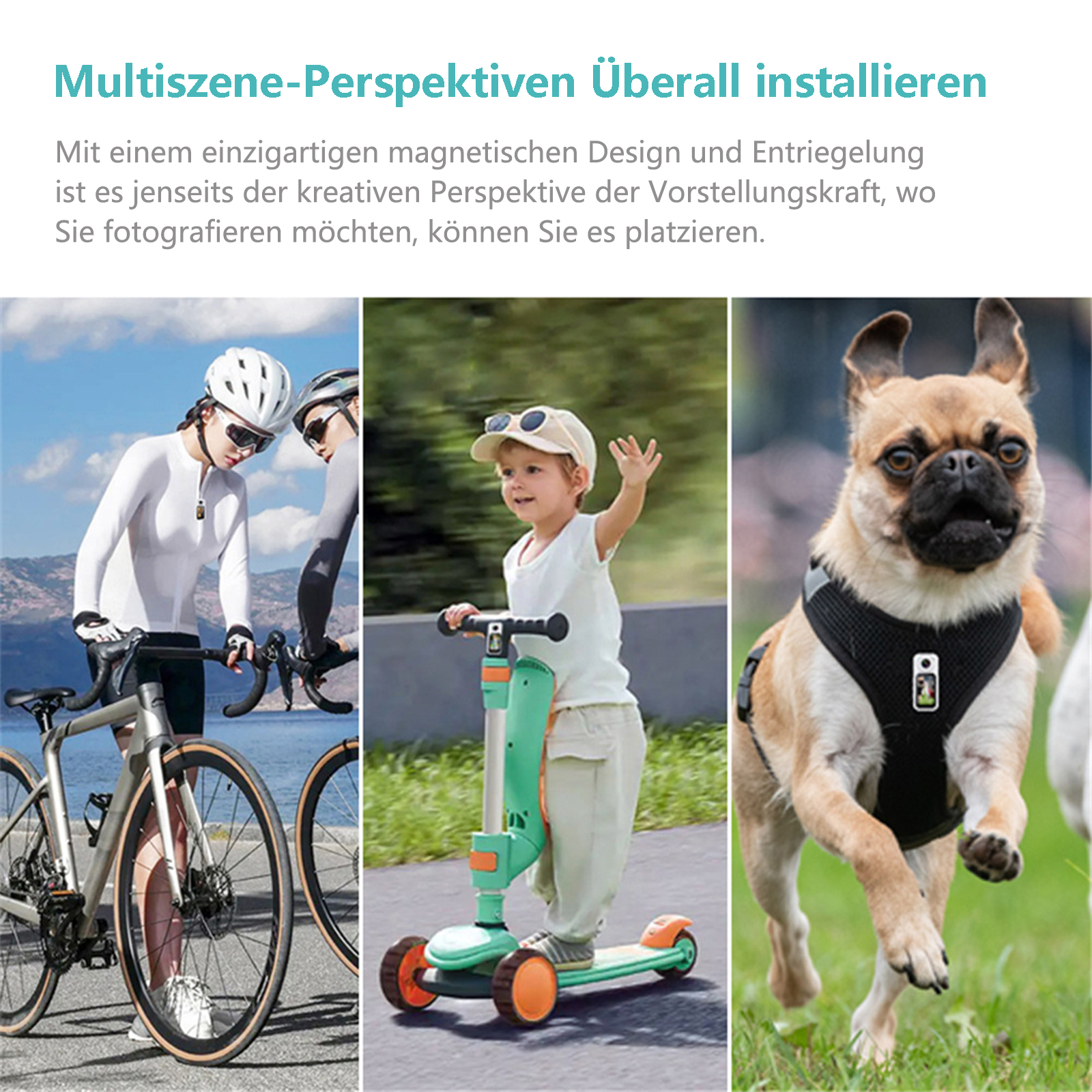 Collage von drei Bildern, die eine Person auf einem Fahrrad, ein Kind auf einem Roller und einen Hund zeigen.
