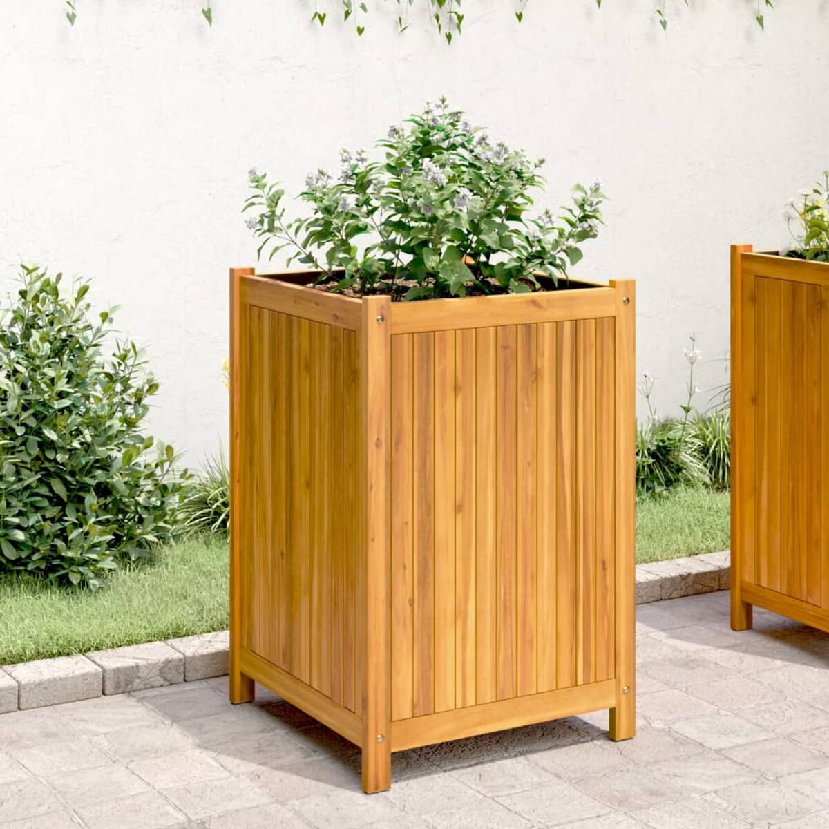 Holzpflanzkasten mit grünen Pflanzen. Steht auf einer Terrasse mit zweitem Kasten hinten.