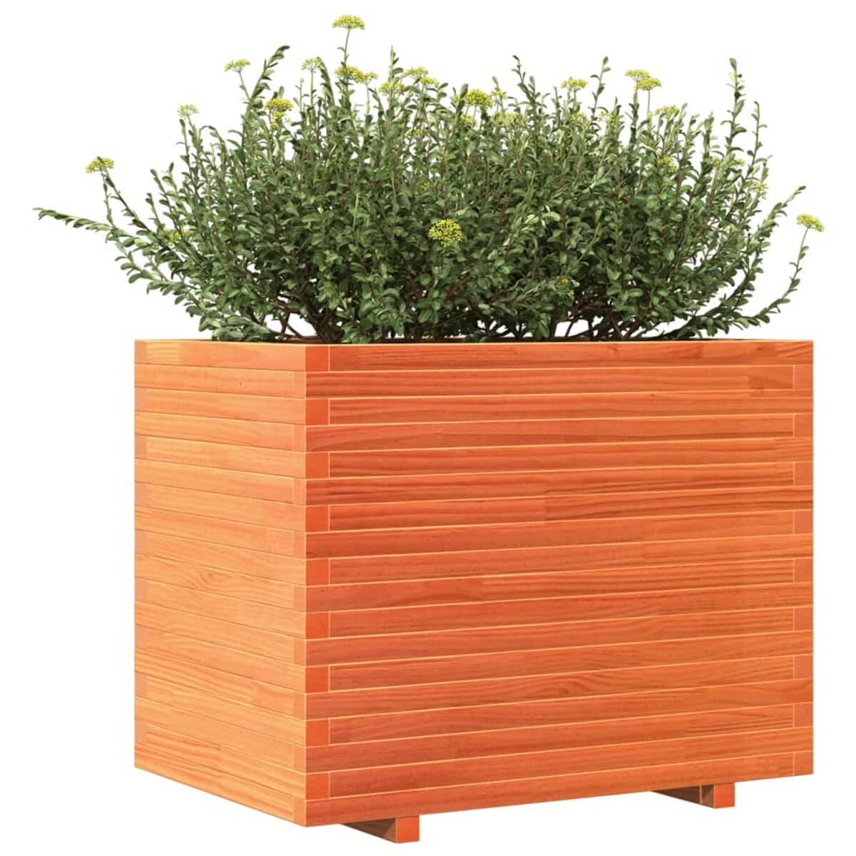 Orangene Holz-Pflanzkasten mit grünen Pflanzen. Die Pflanzen sind im Pflanzkasten.