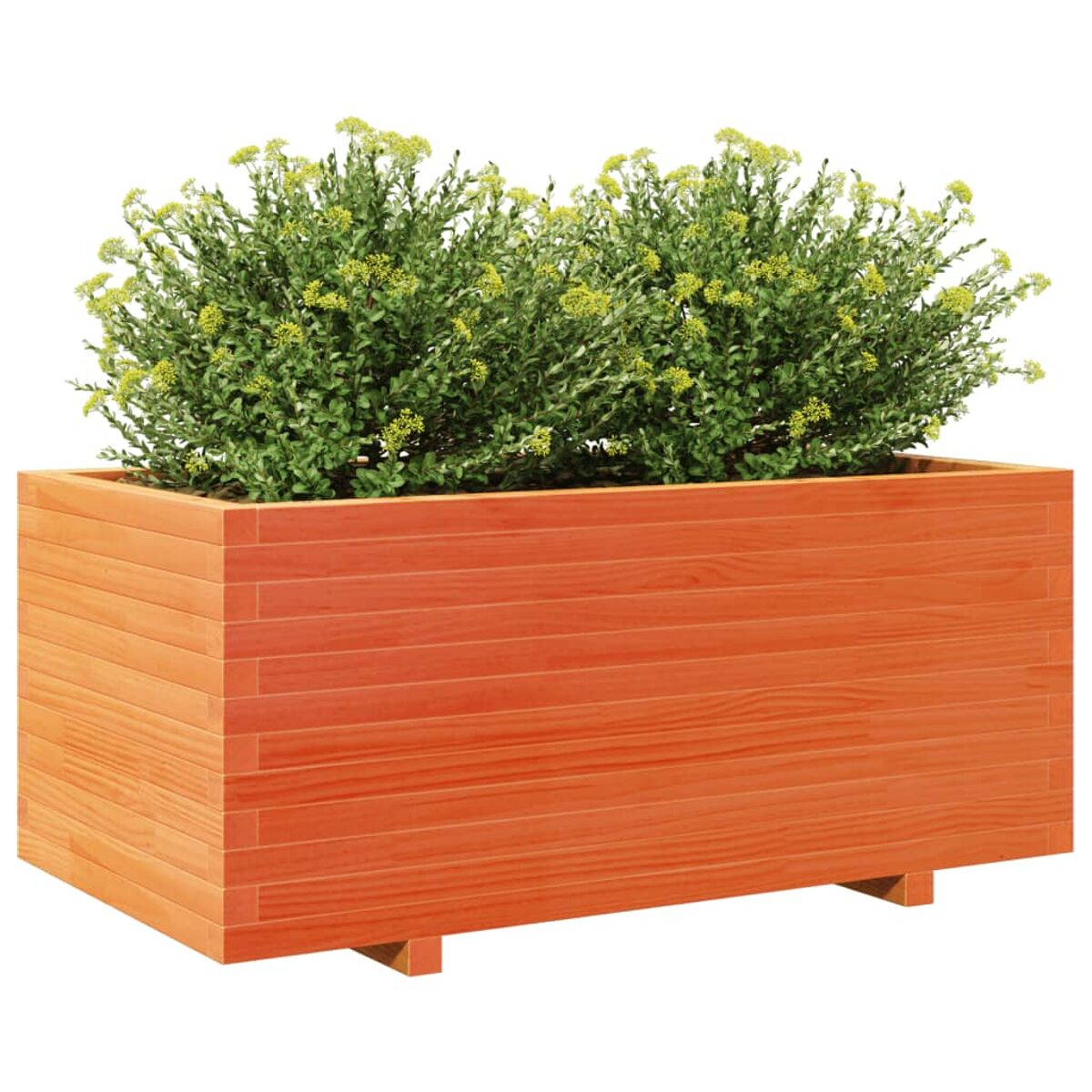 Holzpflanzgefäß mit grünen Pflanzen. Es ist rechteckig, braun und steht auf kleinen Holzstützen.