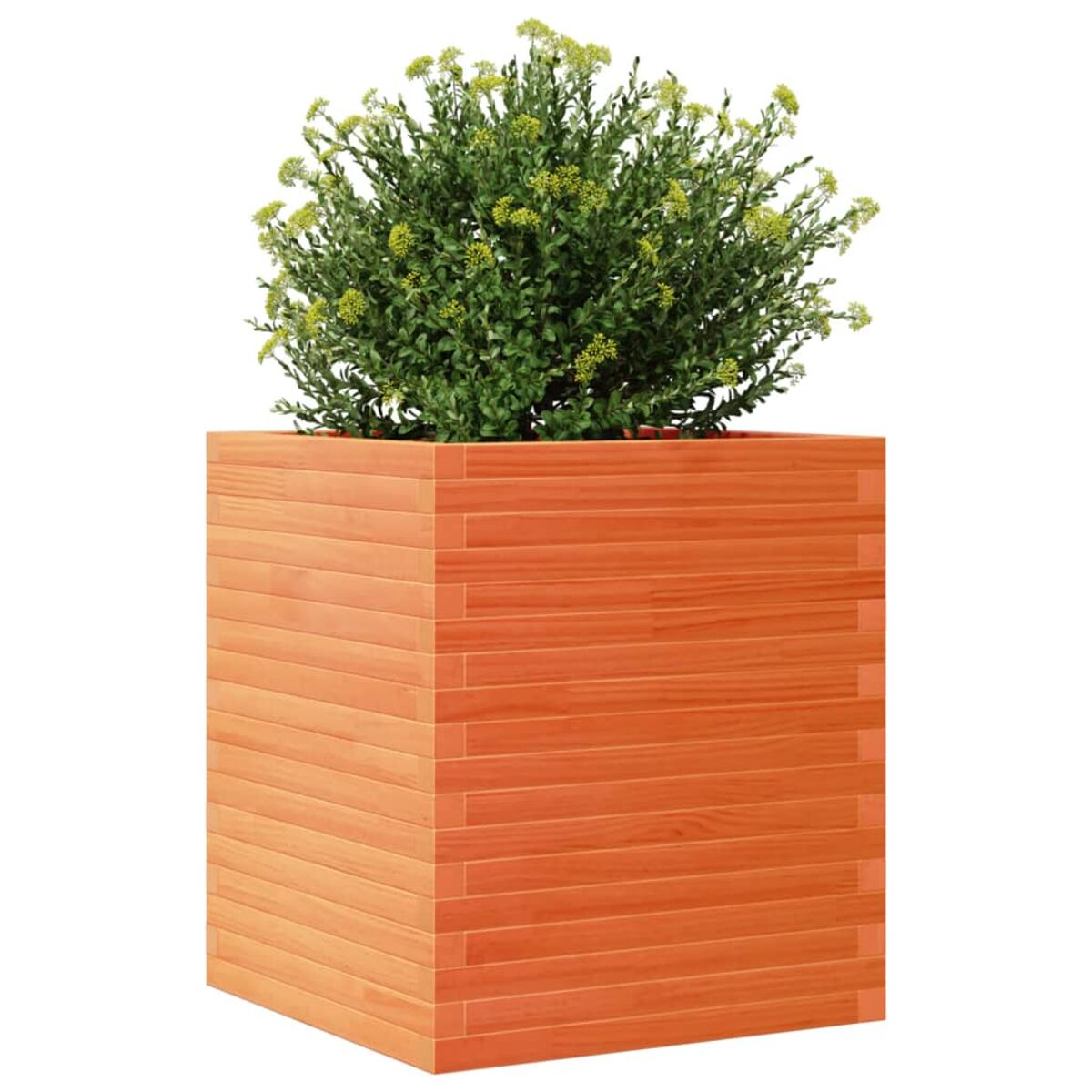 Orangener Pflanzkasten mit grüner Pflanze, weißer Hintergrund.