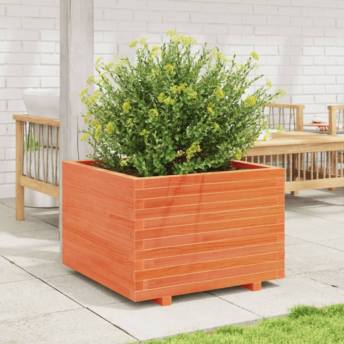 Holzkasten mit grünem Busch und gelben Blüten auf der Terrasse. Im Hintergrund sind Tisch und Stühle.