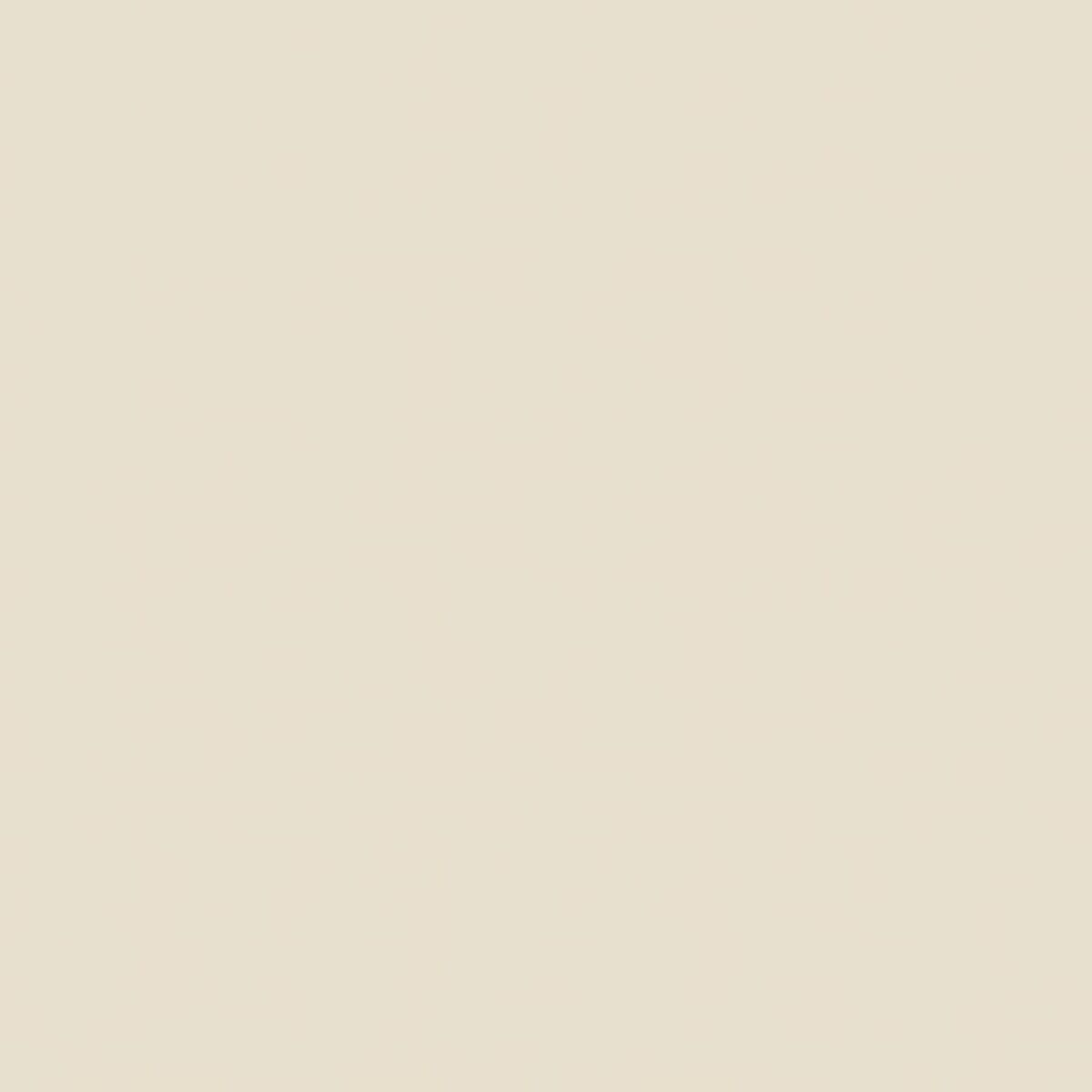 Ein einfacher cremefarbener Hintergrund. Die Farbe ist ein helles Creme.