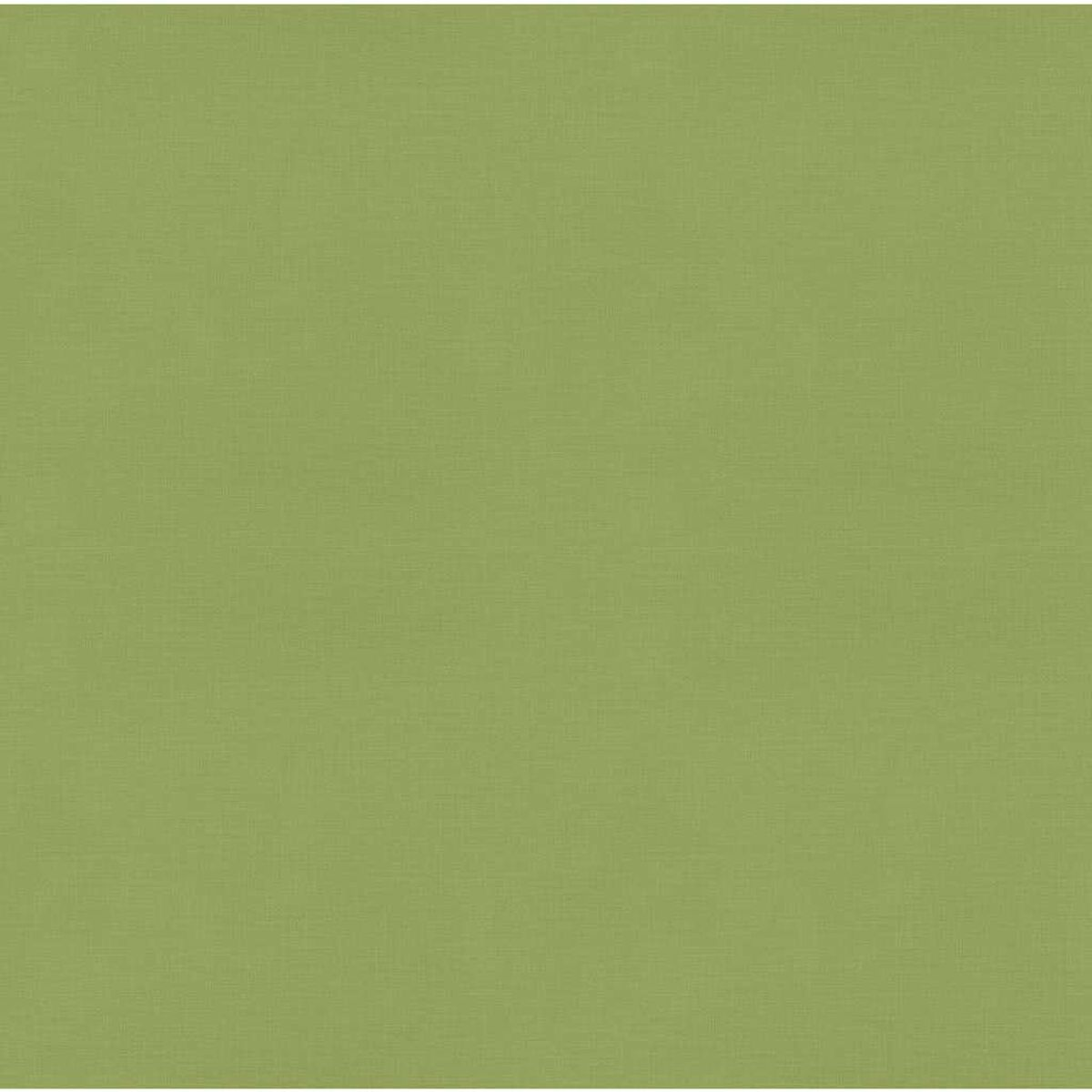Uno sfondo verde unito.