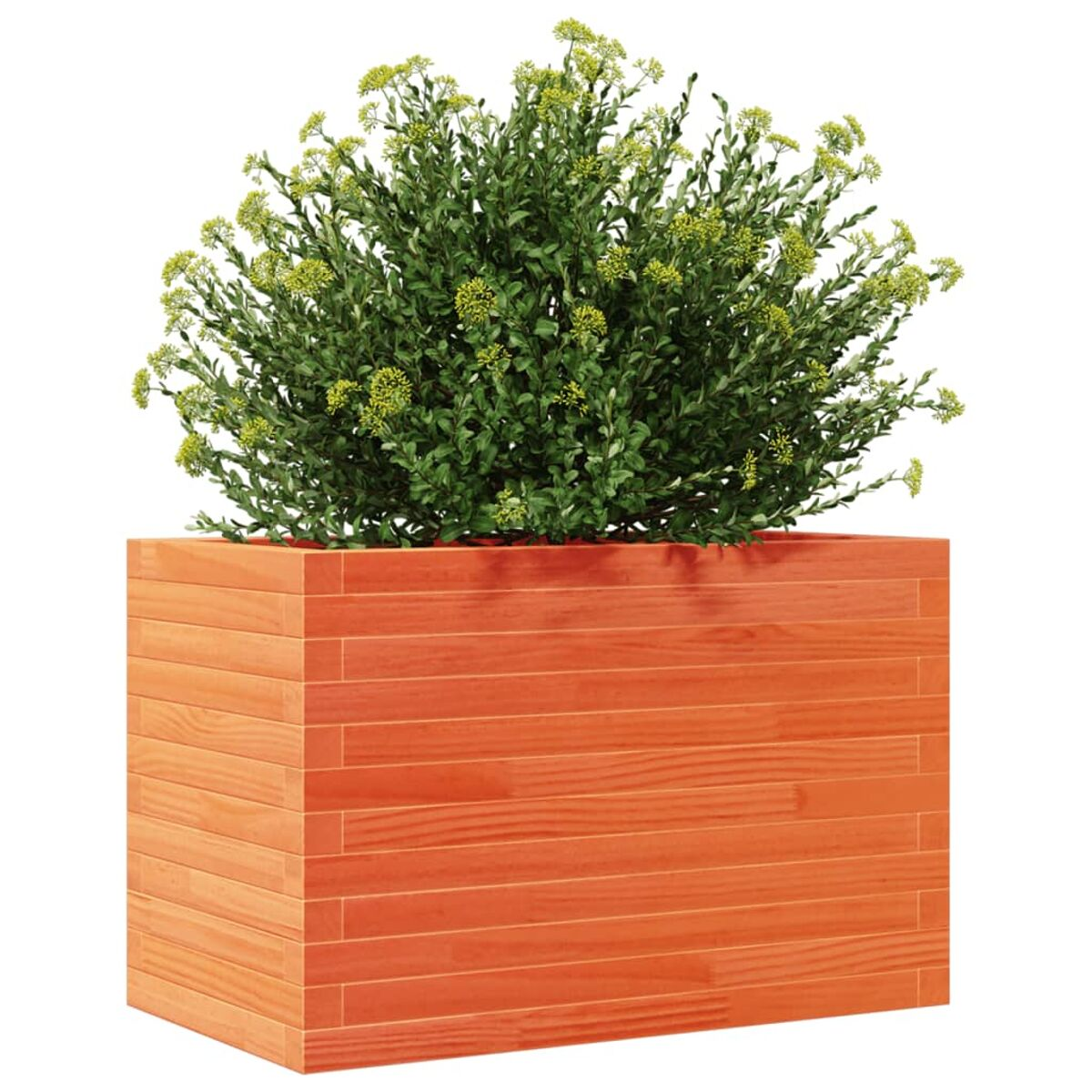 Eine orangefarbene Holzkiste mit grüner Pflanze und gelben Blüten darauf.