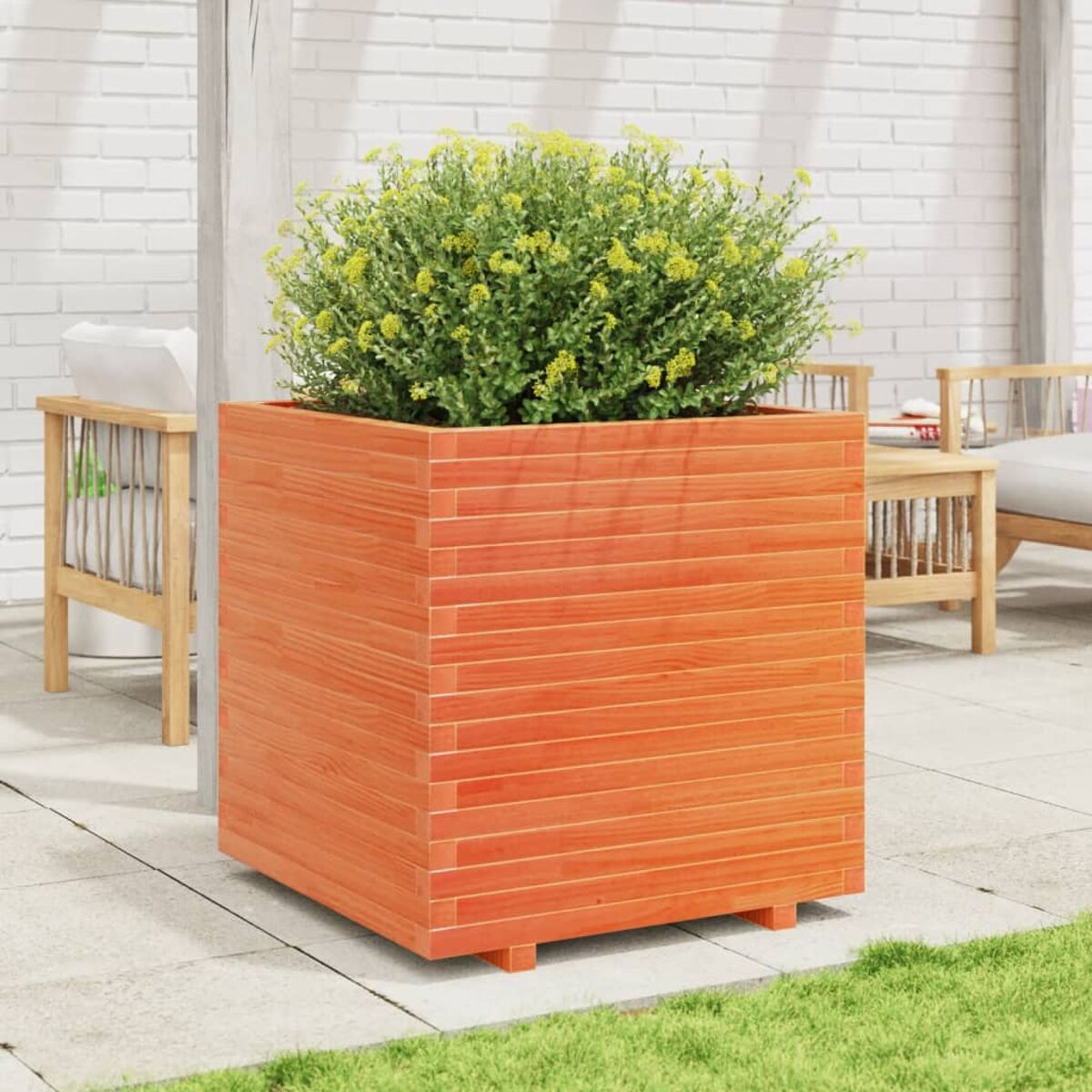 Orangener Holztopf mit grüner Pflanze und gelben Blüten, im Freien.