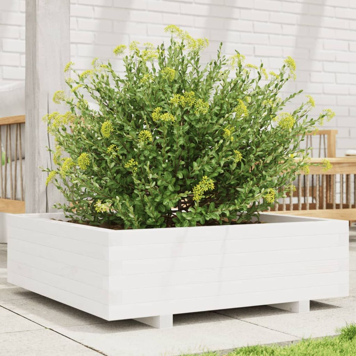 Ein quadratischer weißer Pflanzkübel mit einer grünen Blattpflanze auf einer Terrasse mit weißer Backsteinmauer im Hintergrund.
