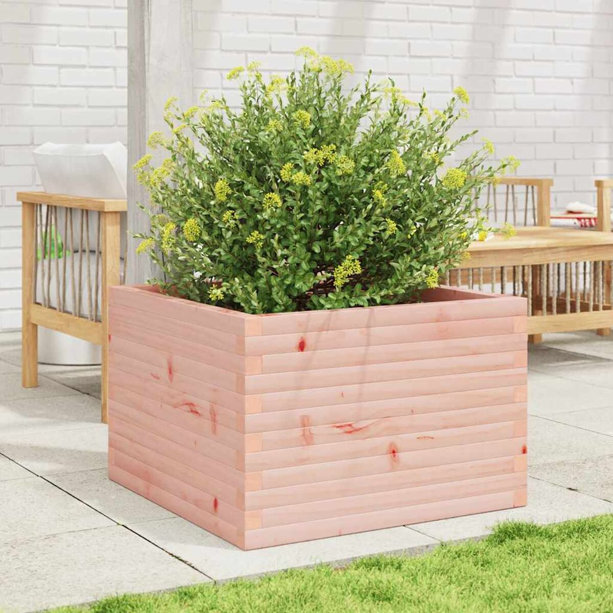 Rosafarbener Holztopf mit grüner Pflanze und gelben Blüten, im Freien.