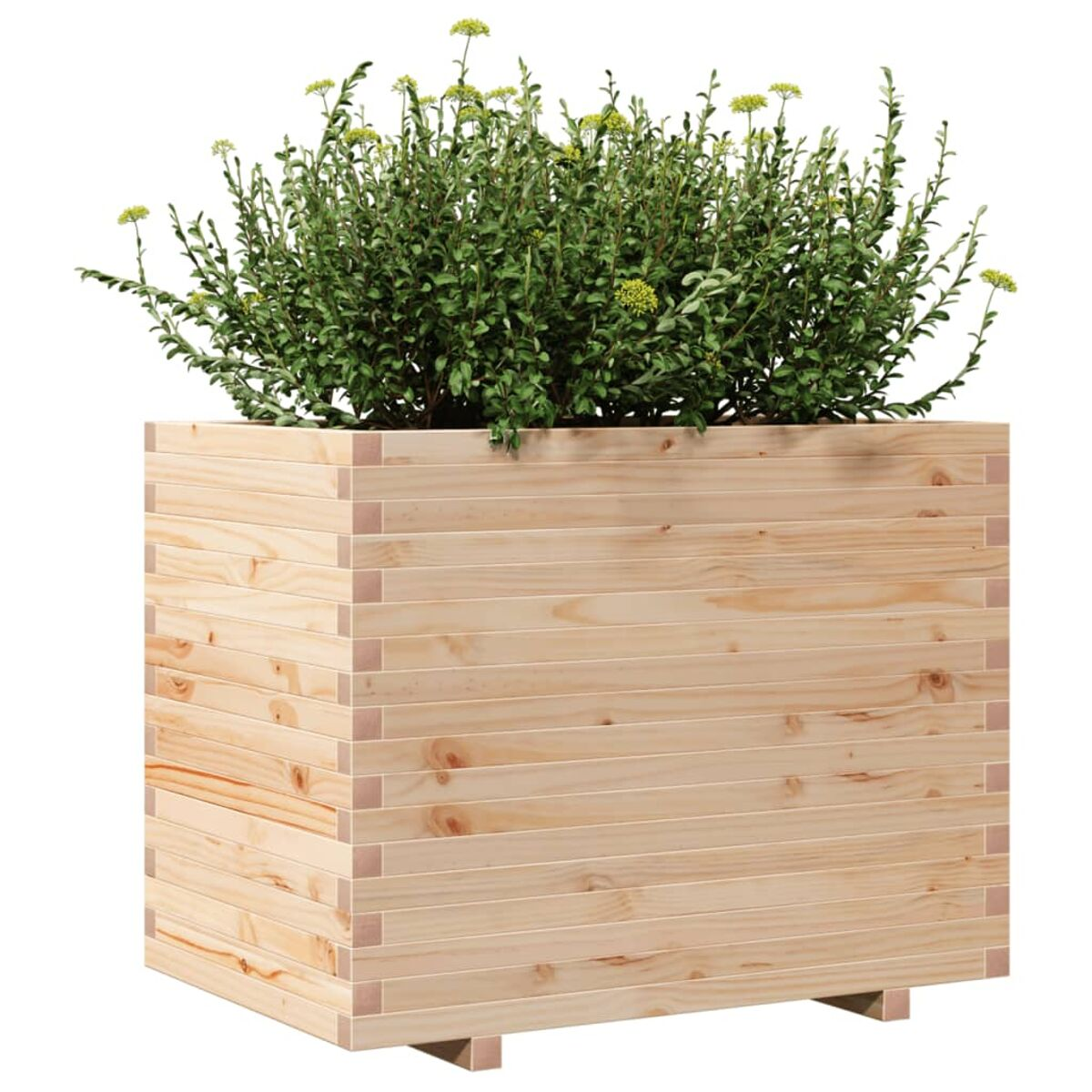 Holzpflanzkasten mit Pflanzen. Die Kiste besteht aus horizontalen Holzbrettern.