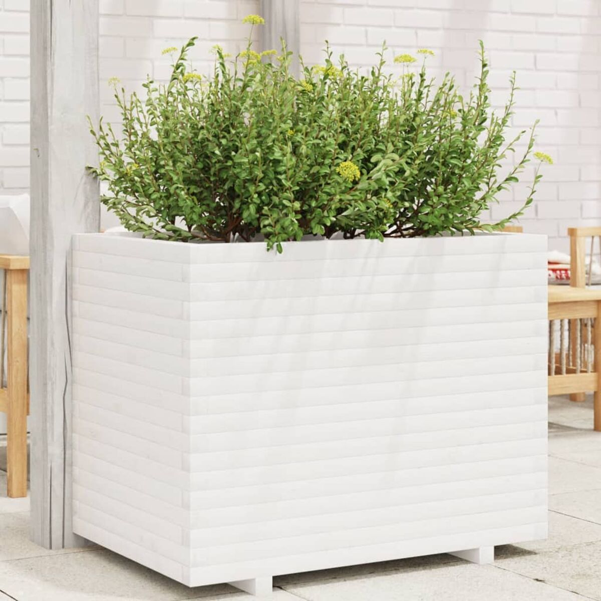 Ein weiß lackierter Pflanzkasten mit Grün, auf einer Terrasse aufgestellt.